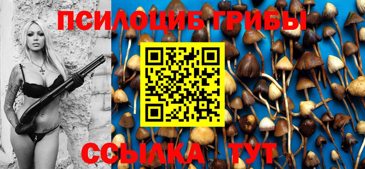 Галлюциногенные грибы Cubensis  Галлюциногенные грибы GOLDEN TEACHER  Северск  Вход с VPN 