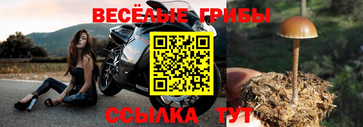 Псилоцибиновые грибы GOLDEN TEACHER Северск