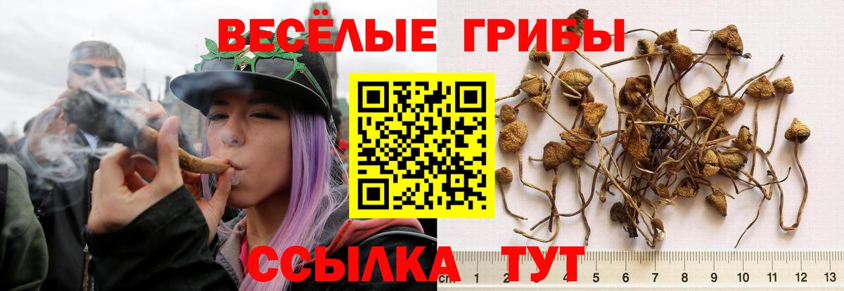 МЕТАМФЕТАМИН Северск